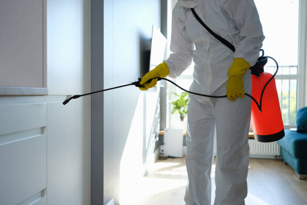Best Attic Mold Removal  in Townsend, MT